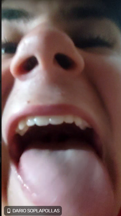 Captura de pantalla 2025-08-04 203803.png
